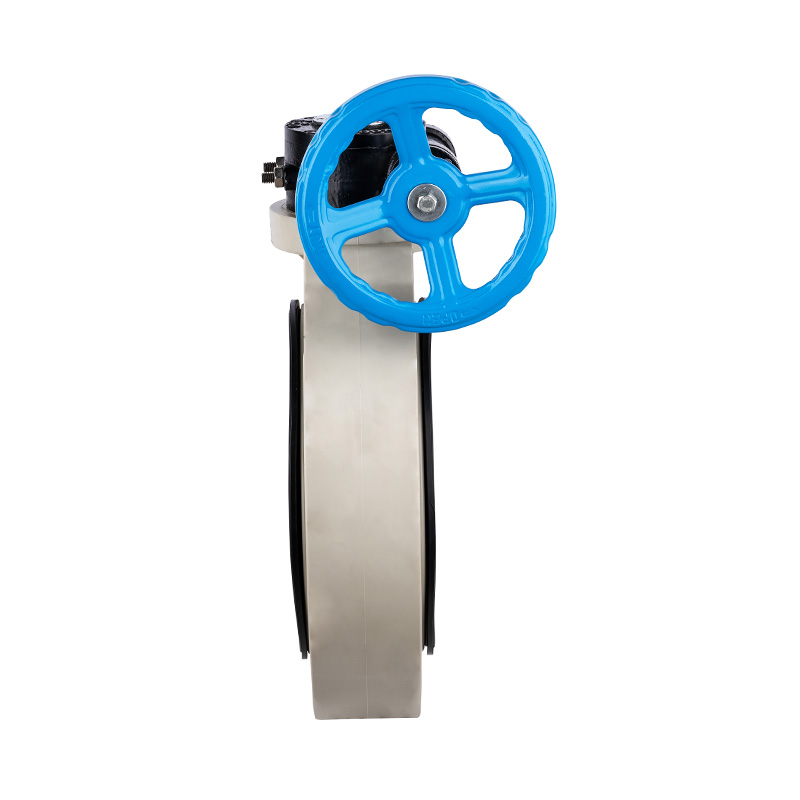 PPH D371X-10S Vermis-Gear Papilio Valve DN40-1000 1-1/2'-30' ANSI Standard