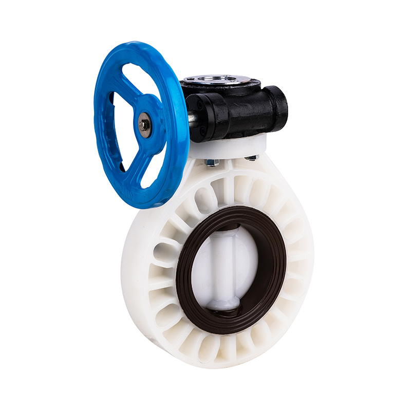 PVDF D371X-10F Worm-Gear Butterfly Valve DN32-1000 GB Standard