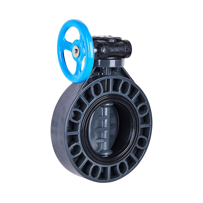 FRPP D371X-10S Worm-Gear Papilio Valve DN40-1000 1-1/2'-30' ANSI Standard