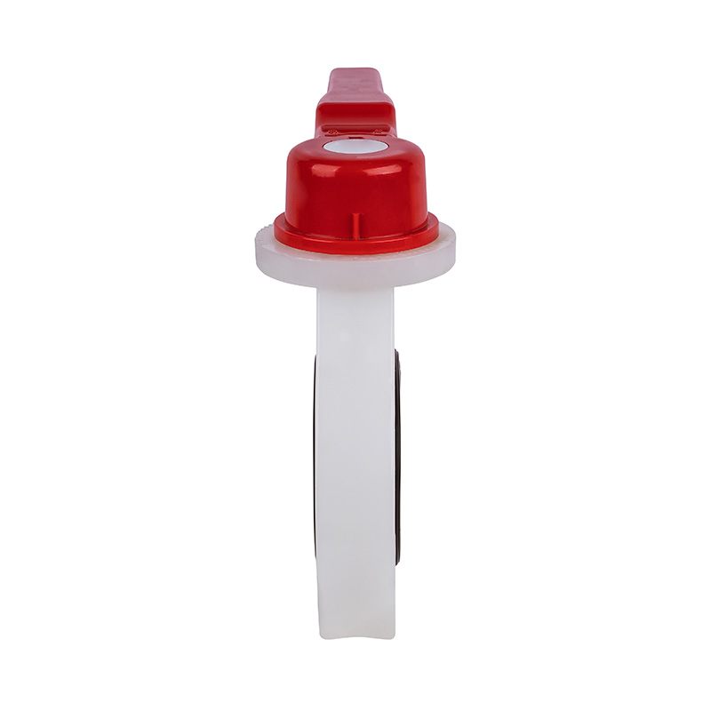 PVDF D71X-10F Palpate Papilio Valvae DN15-200 GB Standard