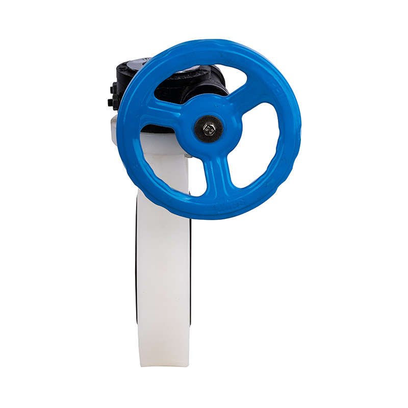 PVDF D371X-10F Gloria Valvae Worm-Gear DN40-1000 40A-1000A JIS Standard