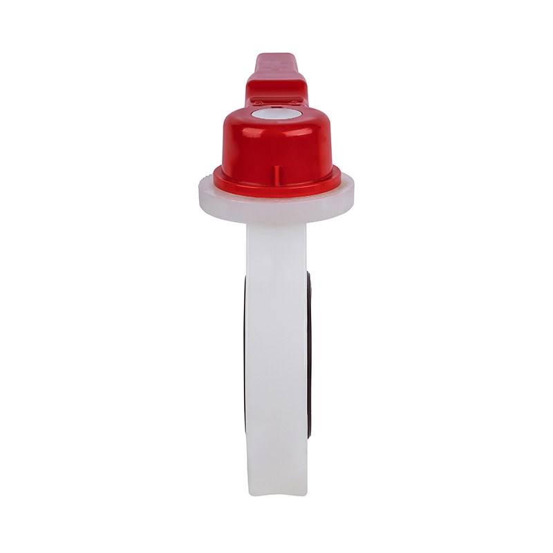 PVDF D71X-10F Palpate Papilio Valve DN40-200 1-1/2'-8' ANSI Standard