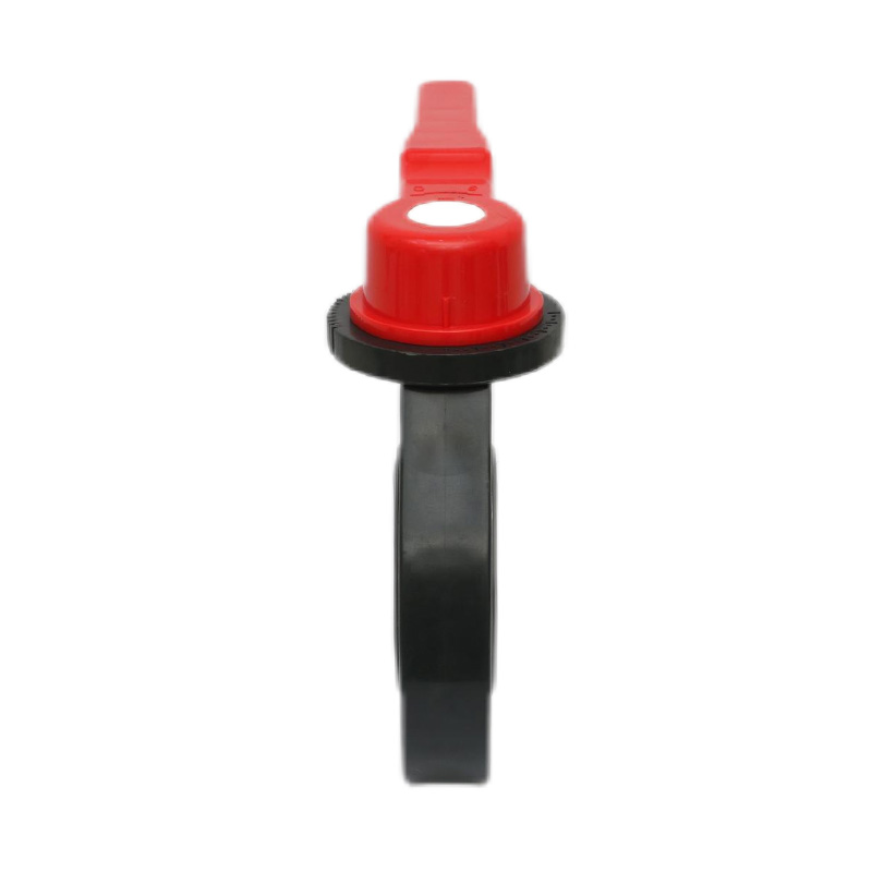 FRPP D71X-10S Palpate Papilio Valvae DN15-200 GB Standard