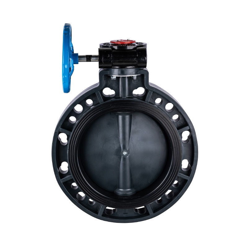 FRPP D371X-10S Worm-Gear Papilio Valve DN40-1000 40A-1000A JIS Standard