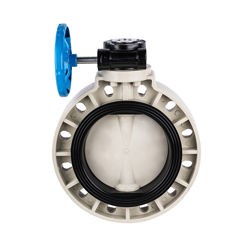 PPH D371X-10S Vermis-Gear Papilio Valve DN40-1000 1-1/2'-30' ANSI Standard