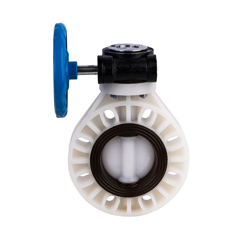 PVDF D371X-10F Gloria Valvae Worm-Gear DN40-1000 40A-1000A JIS Standard