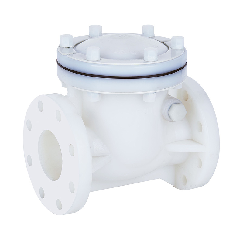 PVDF H44F-10F Swing Type Check Valve DN15-300 GB Standard
